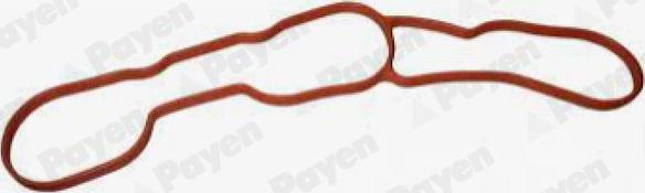 Payen JD6183 - Garnitura, galerie admisie aaoparts.ro