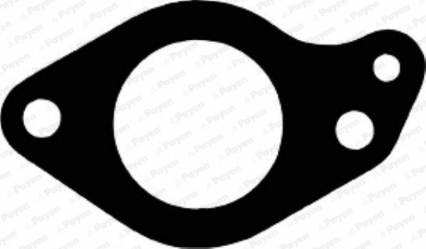 Payen JD144 - Garnitura, galerie admisie aaoparts.ro