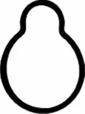 Payen JD167 - Garnitura, galerie admisie aaoparts.ro