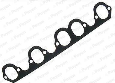 Payen JD312 - Garnitura, galerie admisie aaoparts.ro