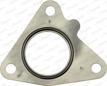 Payen JE5067 - Garnitura, racord evacuare aaoparts.ro