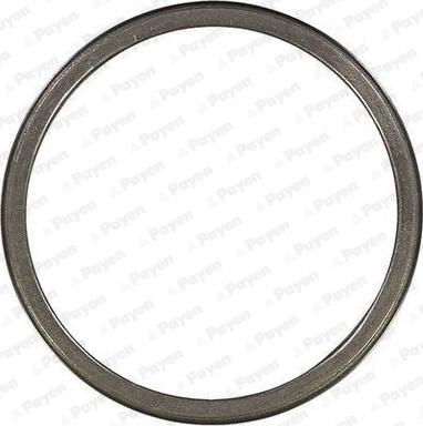 Payen JE625 - Garnitura, racord evacuare aaoparts.ro