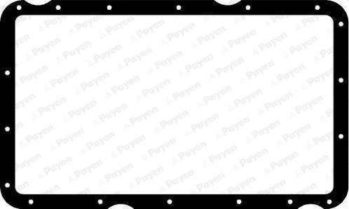 Payen JH5094 - Garnitura baie ulei aaoparts.ro