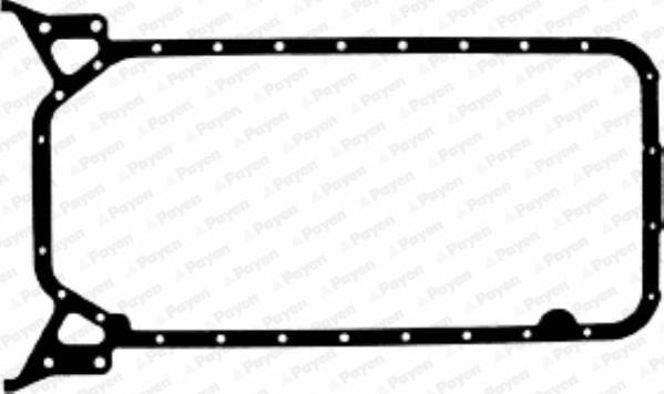 Payen JH5082 - Garnitura baie ulei aaoparts.ro