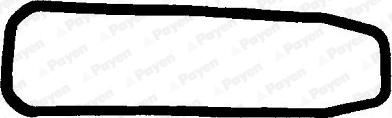 Payen JH5190 - Garnitura baie ulei aaoparts.ro