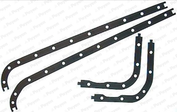 Payen JJ135 - Garnitura baie ulei aaoparts.ro