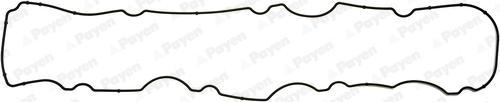 Payen JM5088 - Garnitura, capac supape aaoparts.ro