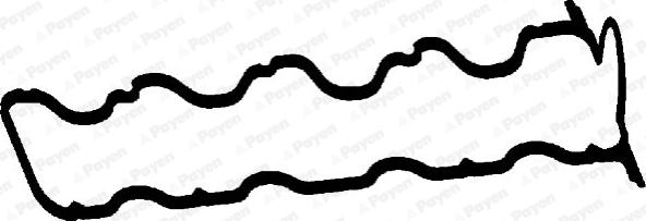 Payen JM5146 - Garnitura, capac supape aaoparts.ro