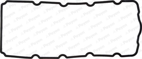 Payen JM5119 - Garnitura, capac supape aaoparts.ro