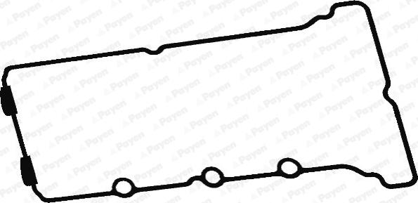 Payen JM5312 - Garnitura, capac supape aaoparts.ro