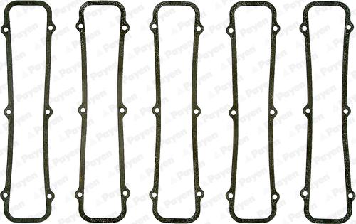 Payen JM663 - Garnitura, capac supape aaoparts.ro