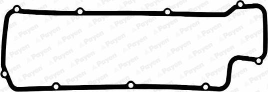 Payen JM029 - Garnitura, capac supape aaoparts.ro