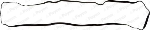 Payen JM7035 - Garnitura, capac supape aaoparts.ro