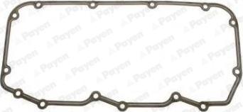 Payen JM7194 - Garnitura, capac supape aaoparts.ro