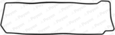 Payen JM7142 - Garnitura, capac supape aaoparts.ro