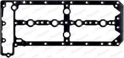 Payen JM7108 - Garnitura, capac supape aaoparts.ro