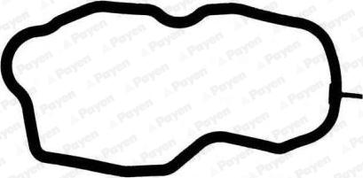 Payen JM7111 - Garnitura, capac supape aaoparts.ro