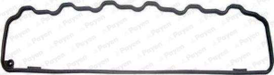 Payen JM7137 - Garnitura, capac supape aaoparts.ro
