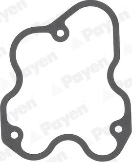 Payen JM7204 - Garnitura, capac supape aaoparts.ro