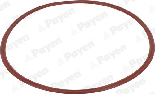 Payen JM7207 - Garnitura, capac supape aaoparts.ro