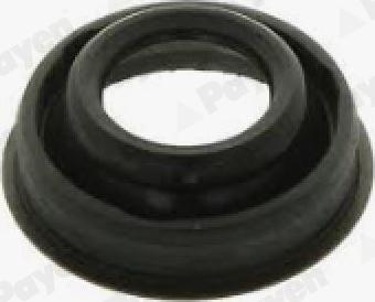 Payen JM7221 - Garnitura, capac supape aaoparts.ro