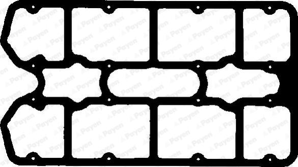 Payen JN996 - Garnitura, capac supape aaoparts.ro