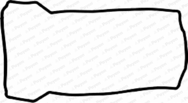 Payen JN911 - Garnitura, capac supape aaoparts.ro