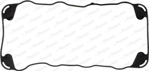 Payen JN414 - Garnitura, capac supape aaoparts.ro