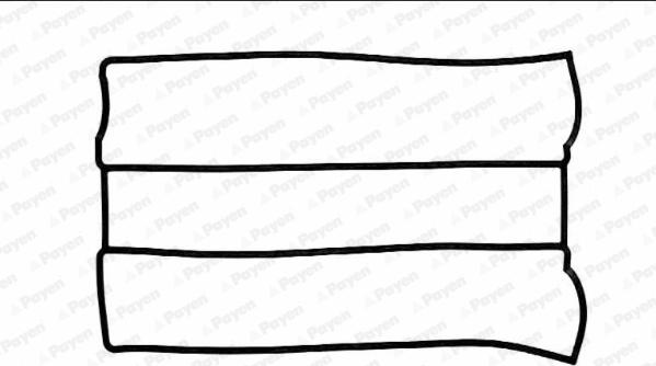 Payen JN682 - Garnitura, capac supape aaoparts.ro