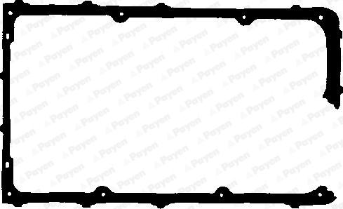 Payen JN620 - Garnitura, capac supape aaoparts.ro