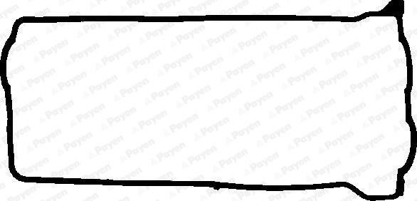 Payen JN865 - Garnitura, capac supape aaoparts.ro