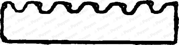 Payen JN837 - Garnitura, capac supape aaoparts.ro