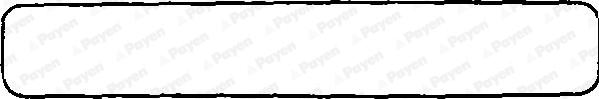 Payen JN748 - Garnitura, capac supape aaoparts.ro