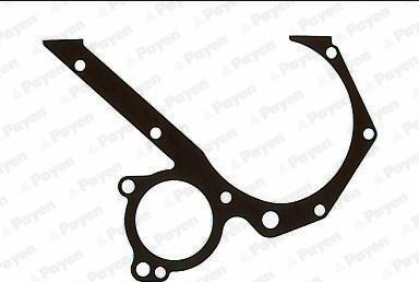 Payen JR265 - Garnitura, distributie aaoparts.ro