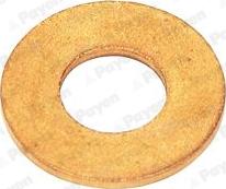 Payen KG5078 - - - aaoparts.ro