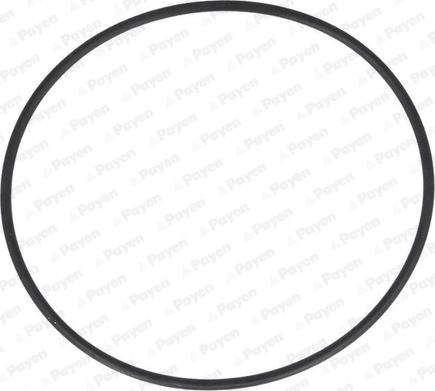 Payen LA5257 - O-ring, camasa cilindru aaoparts.ro