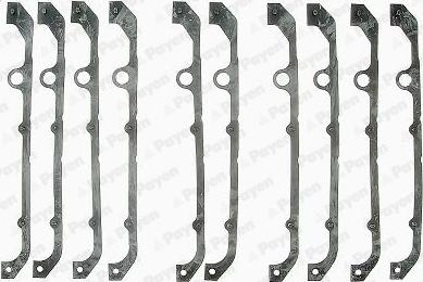 Payen LC281 - Garnitura aaoparts.ro