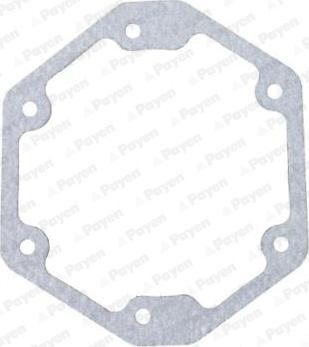 Payen LS859 - Garnitura, distributie aaoparts.ro