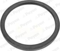 Payen NA5463 - Simering, arbore cotit aaoparts.ro