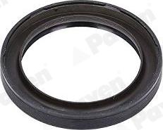 Payen NA5504 - Simering, ax cu came aaoparts.ro