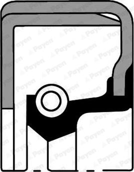 Payen NJ068 - Simering, diferential aaoparts.ro