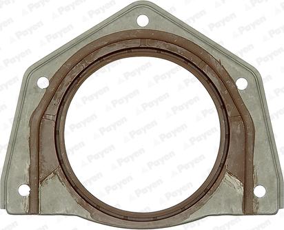 Payen NF888 - Simering, arbore cotit aaoparts.ro