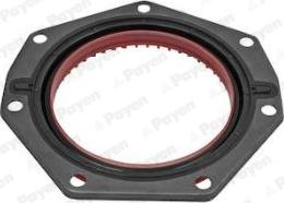 Payen NF883 - Simering, arbore cotit aaoparts.ro