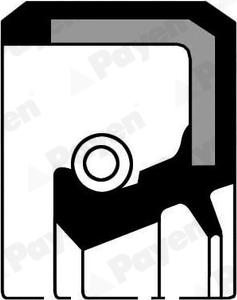 Payen NJ154 - Simering, arbore cotit aaoparts.ro