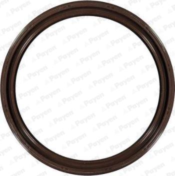 Payen NK169 - Simering, arbore cotit aaoparts.ro