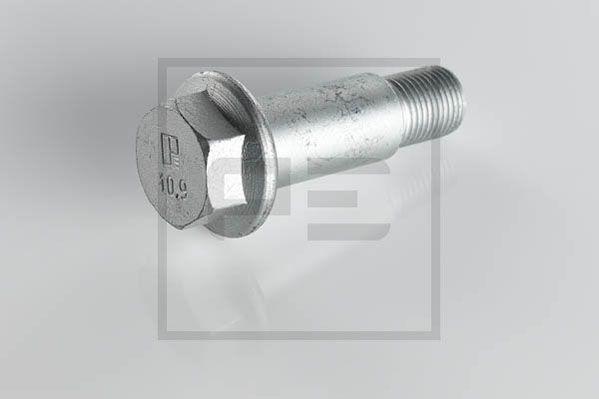 PE Automotive 016.187-00A - Surub, etrier aaoparts.ro