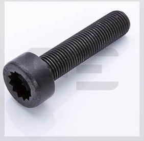 PE Automotive 010.162-00A - Surub volanta aaoparts.ro