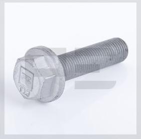 PE Automotive 010.175-00A - Surub, disc frana aaoparts.ro