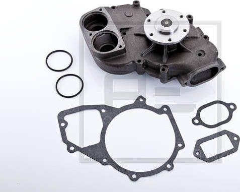 PE Automotive 01070400A - Pompa apa aaoparts.ro