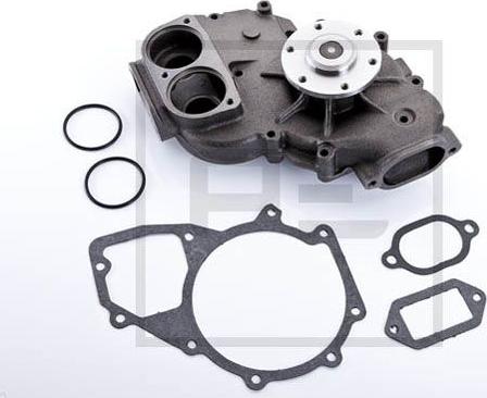 PE Automotive 01070800A - Pompa apa aaoparts.ro